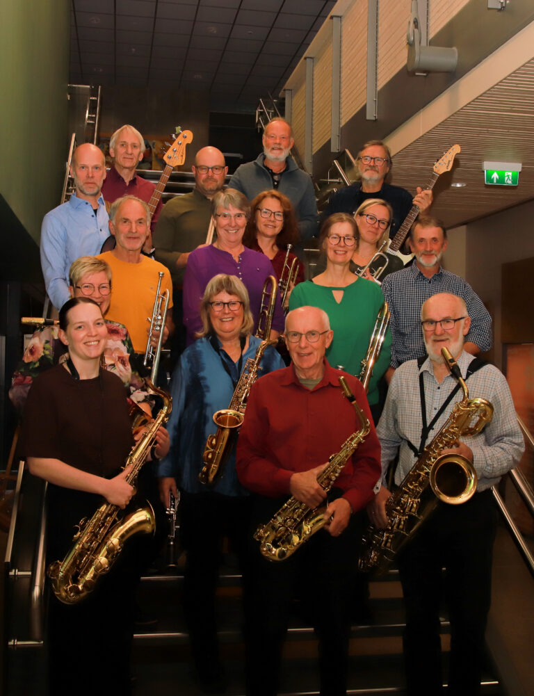 Vingelen-storband